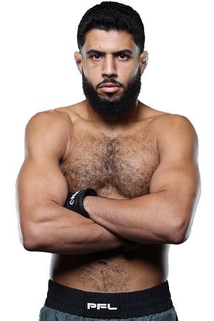 Fighter