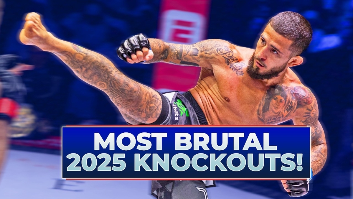 31 Of The Most VIOLENT PFL Finishes From 2025! Thumbnail